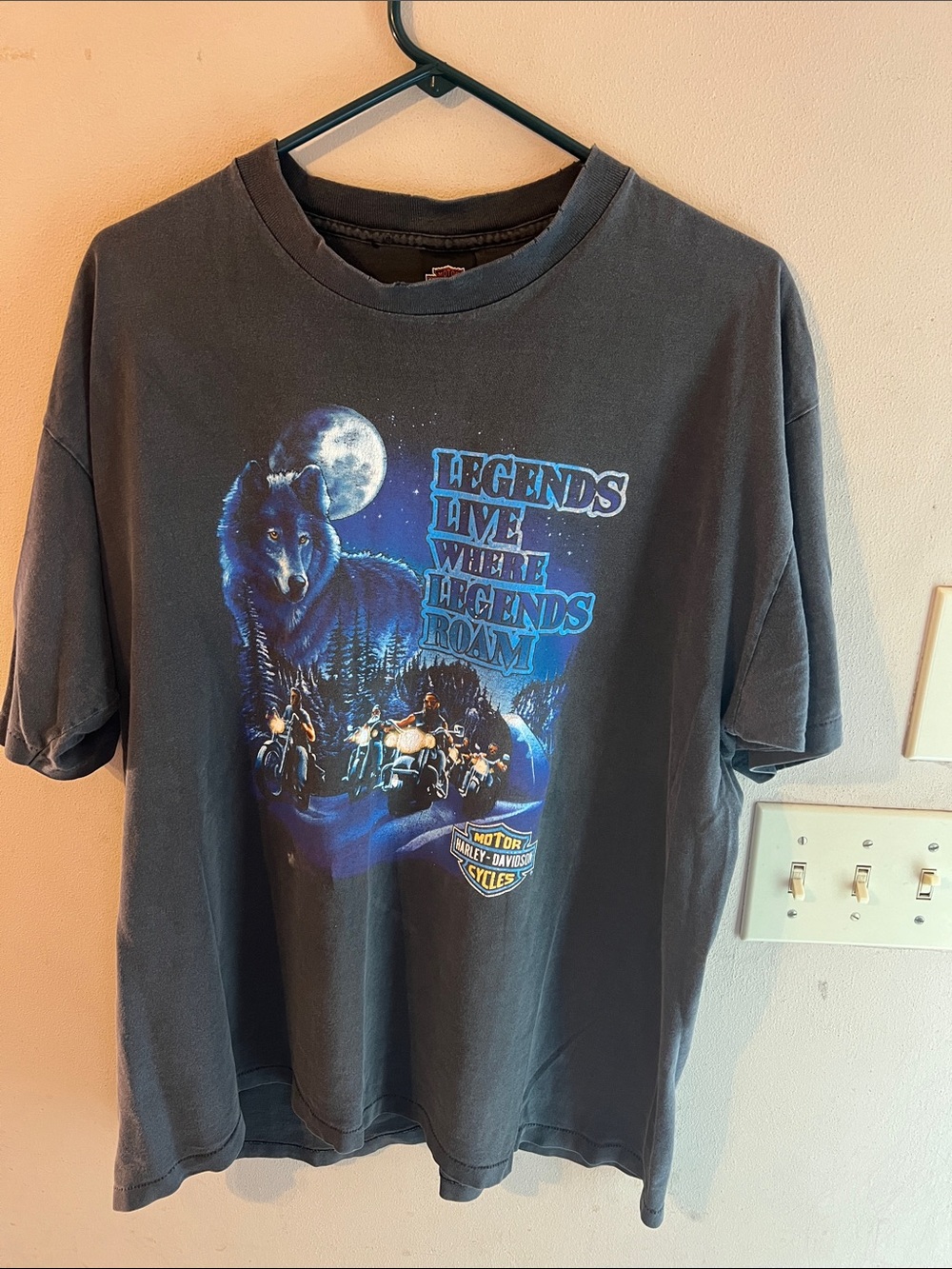 VINTAGE 1991 HARLEY DAVIDSON LEGENDS LIVE WHERE LEGENDS ROAM TSHIRT XXL